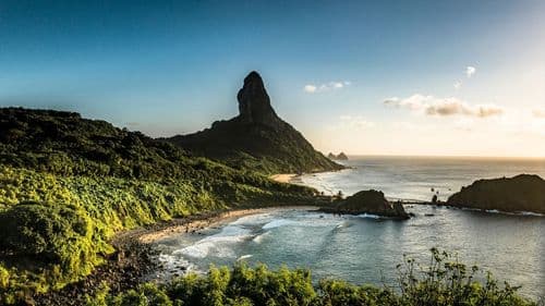 Imagem da noticia: Mutirão leva cannabis medicinal a crianças autistas em Fernando de Noronha