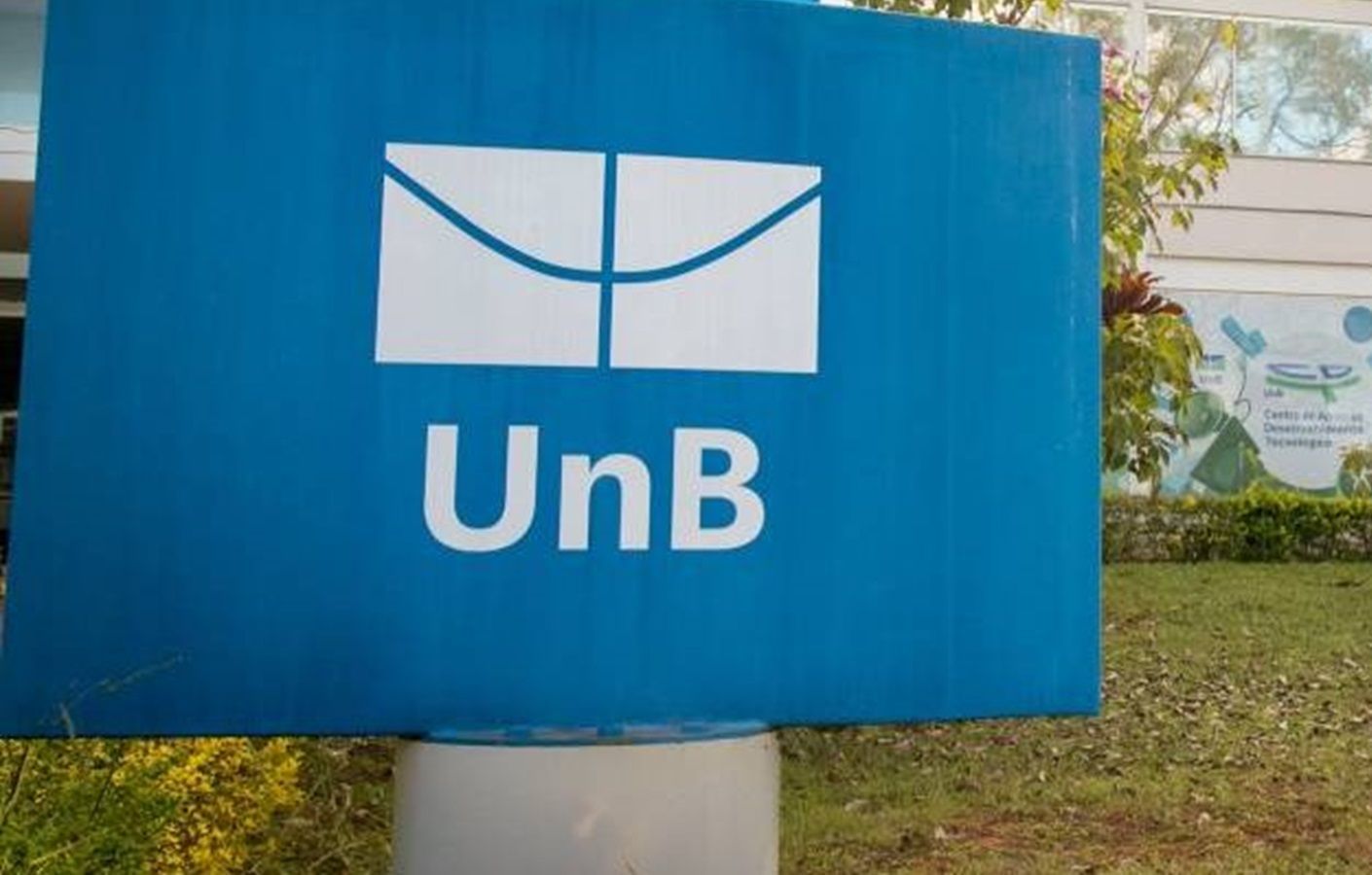 UNB, pesquisa, cannabis, associações