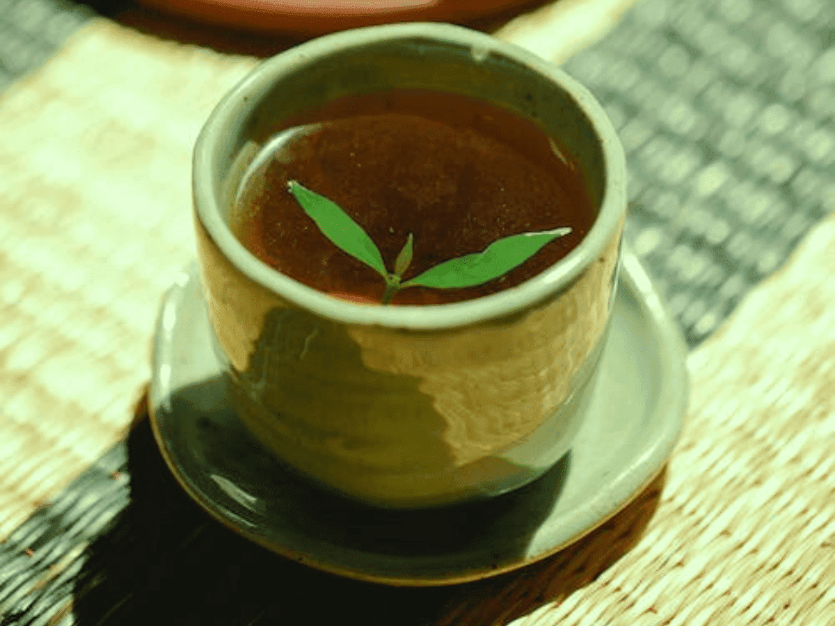 A Ayahuasca pode ajudar a curar a dor?
