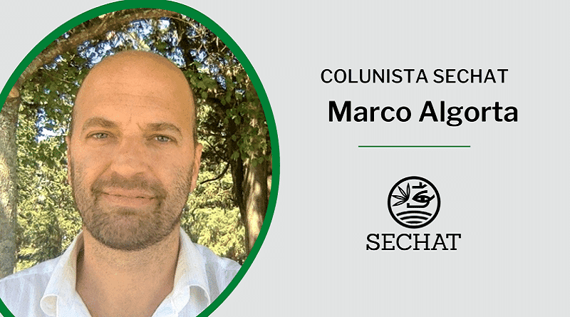 As três regras de ouro da indústria canábica