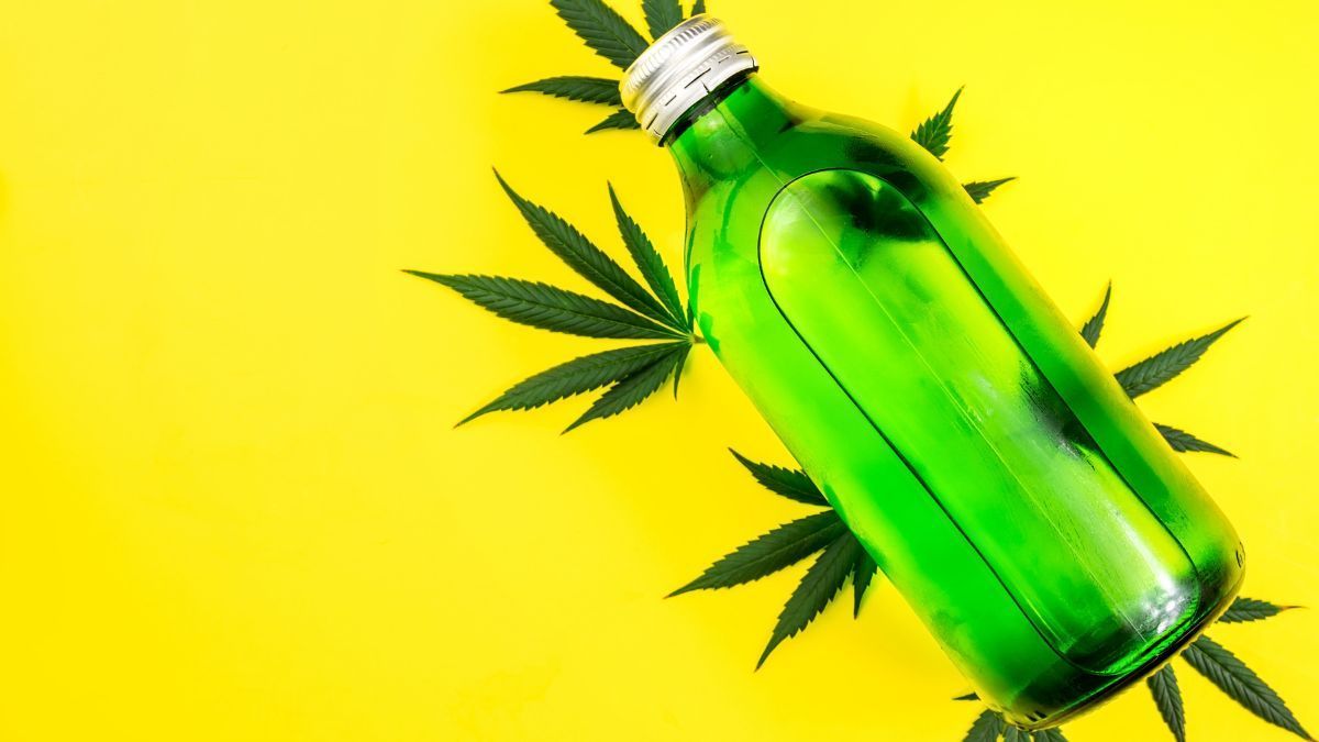 Bebidas com THC conquistam espaço no mercado e desafiam o álcool tradicional