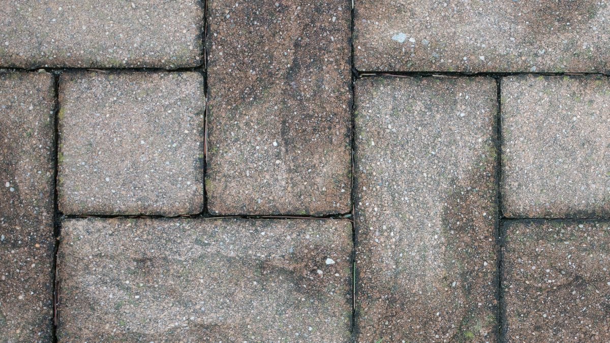 Crise habitacional em Portugal: cânhamo, menos burocracia e mais inovação