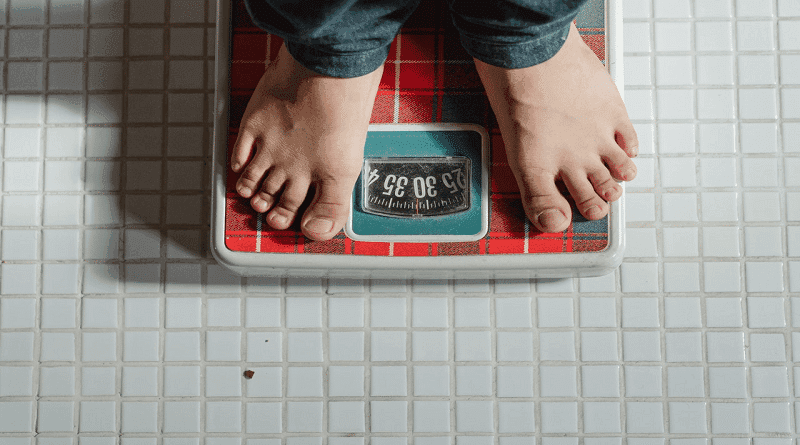 CBD e obesidade: pesquisa e compreensão atual