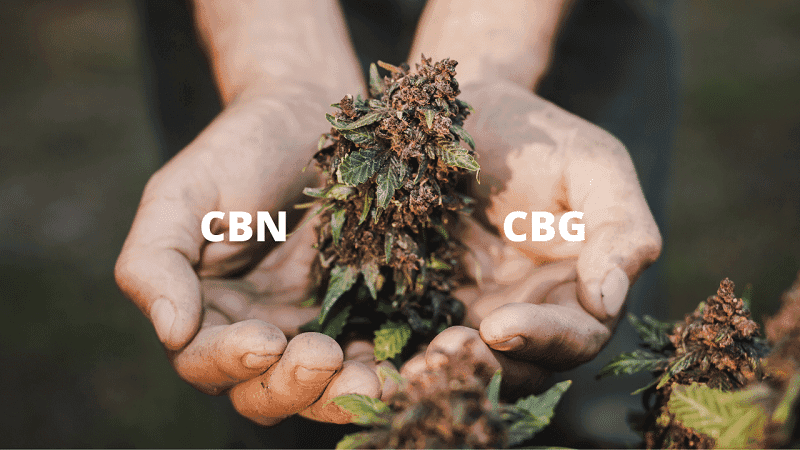 CBG e CBN: o que são e para quê servem