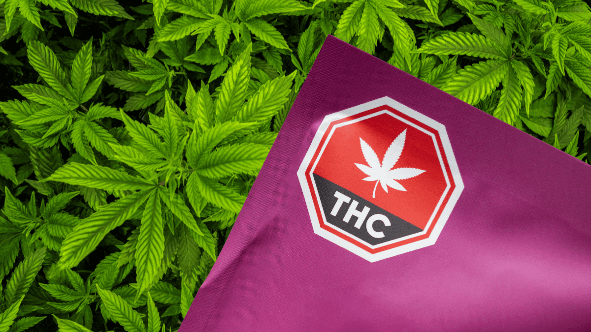 Empresas de cannabis em Illinois enfrentam ação coletiva por rotulagem enganosa e excesso de THC