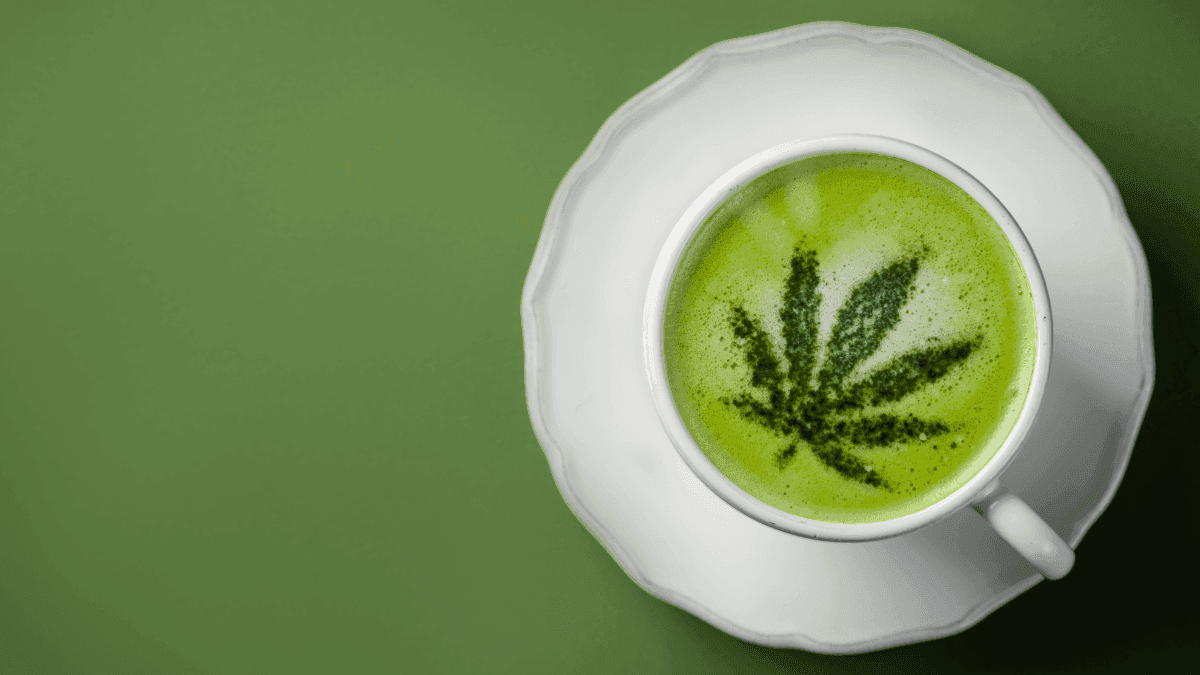 Próxima fase do programa sobre cannabis terá início em Abril de 2025