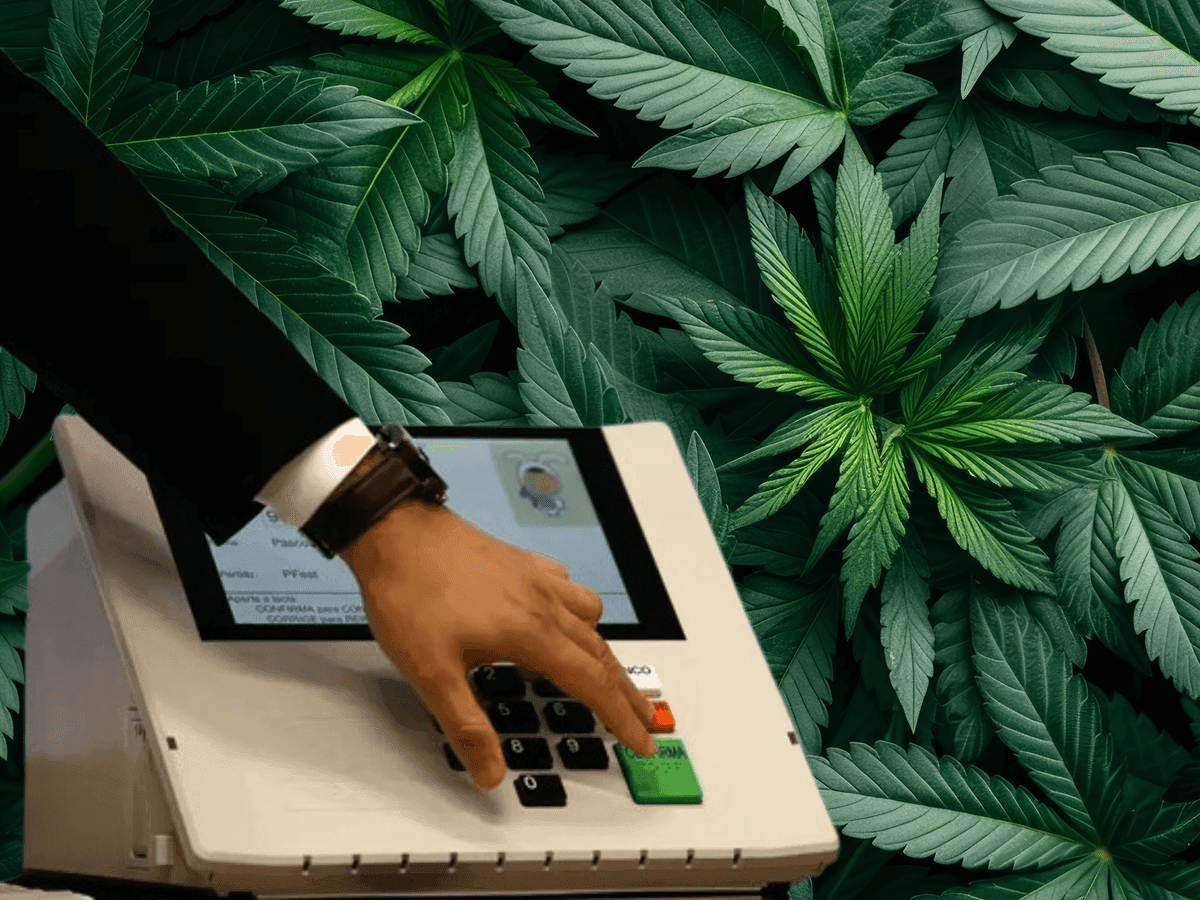 Eleições, vereadores, cannabis, São Paulo
