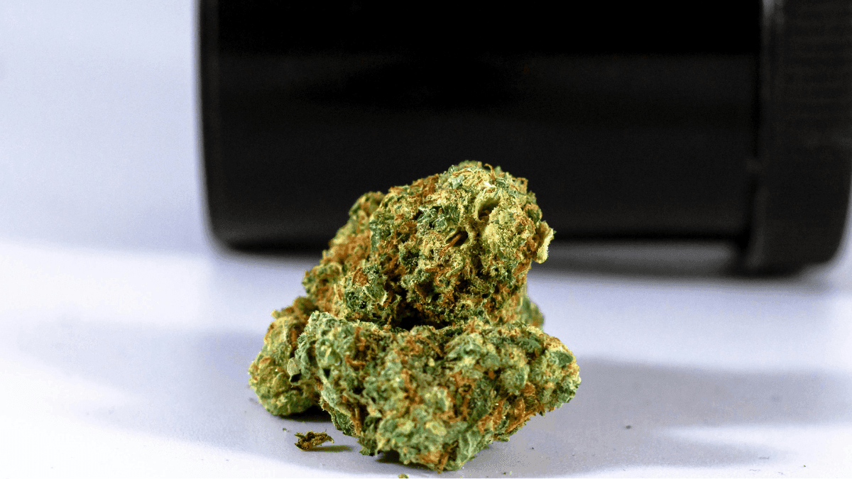 Mesmo com apoio do judiciário, Senado de Dakota do Norte barra descriminalização da maconha