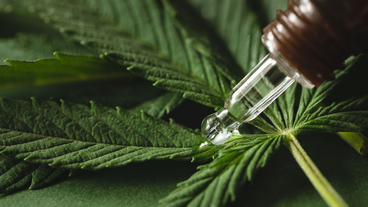 Agenda Regulatória 2026 -2027 da Anvisa abre espaço para sugestões da sociedade, inclusive sobre cannabis