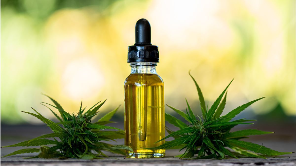 Reclassificação da cannabis nos EUA ganha força com novo indicado da DEA prometendo “ouvir especialistas e analisar a ciência”