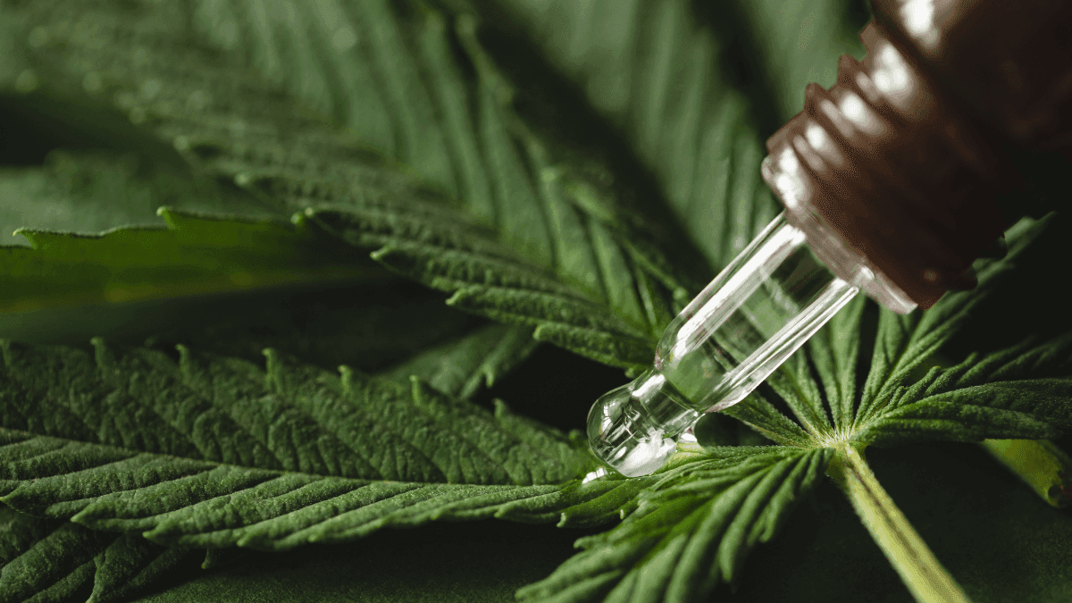 A esperança no tratamento da inflamação crônica pode estar na cannabis medicinal