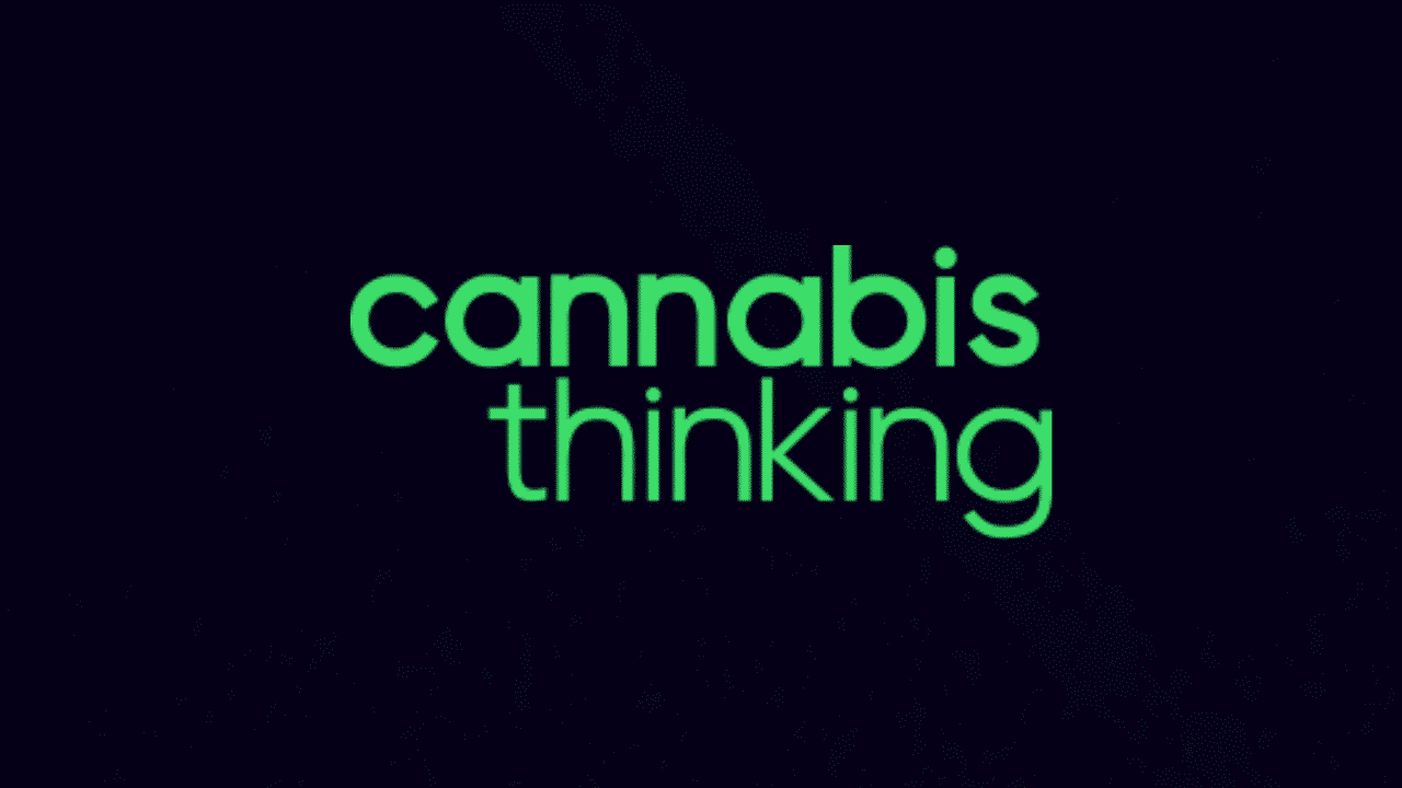 Cannabis Thinking começa este fim de semana