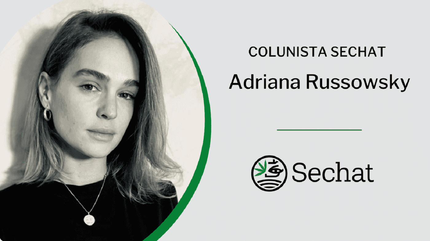 Cannabis: Uma inspiração Social-Democrata