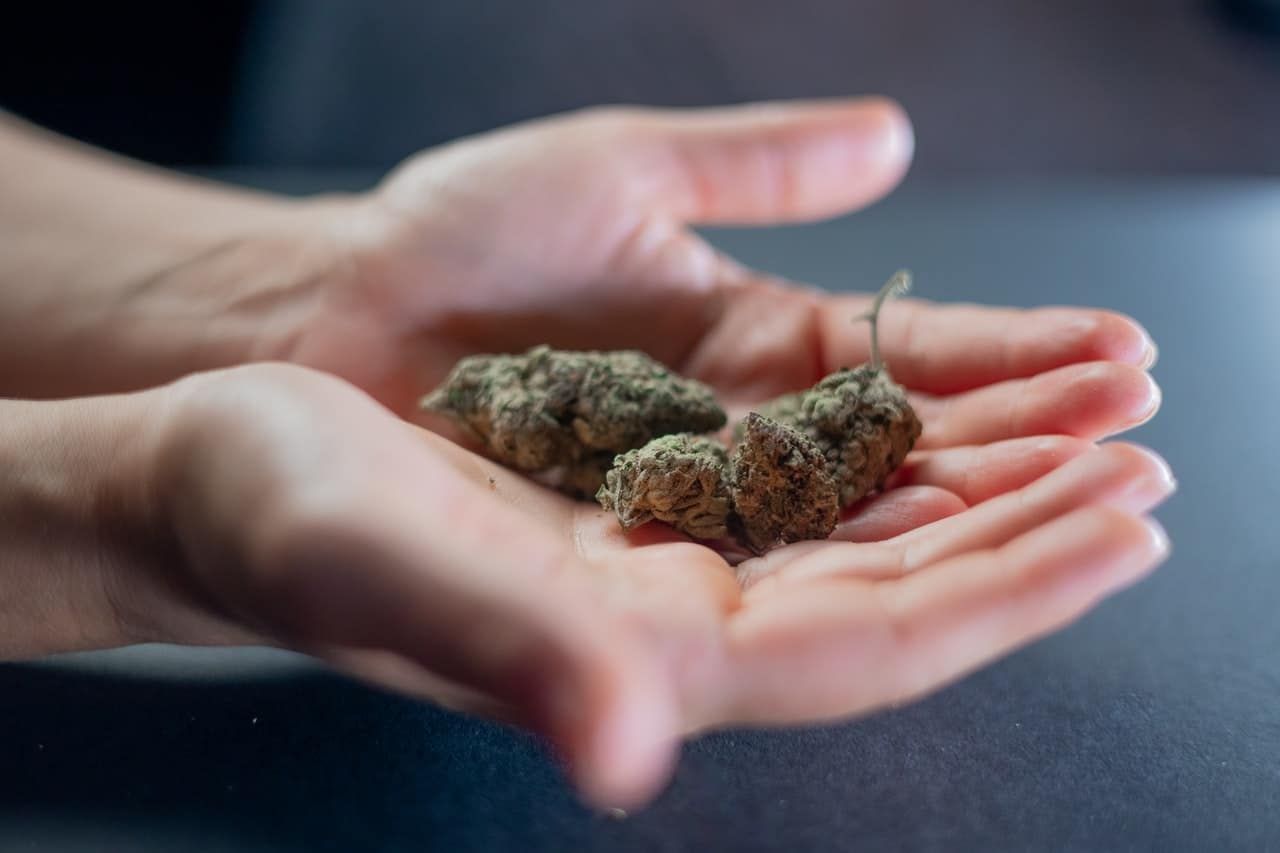 Cannabis medicinal fumada?