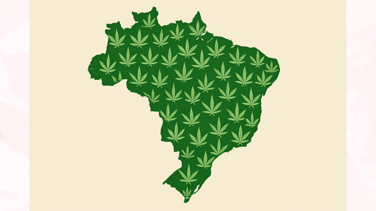  Cannabis do Oiapoque ao Chuí: quando a medicina atravessa fronteiras