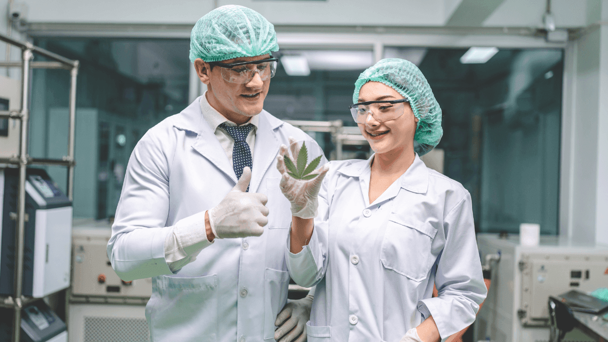 Mapeamento de evidências sobre cannabis medicinal: o que sabemos até agora?