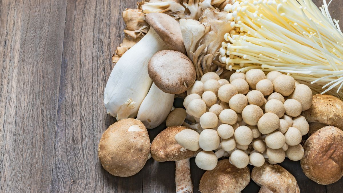 Anvisa proíbe produtos de cogumelo vendidos por empresa que comercializa 18 mil unidades por mês
