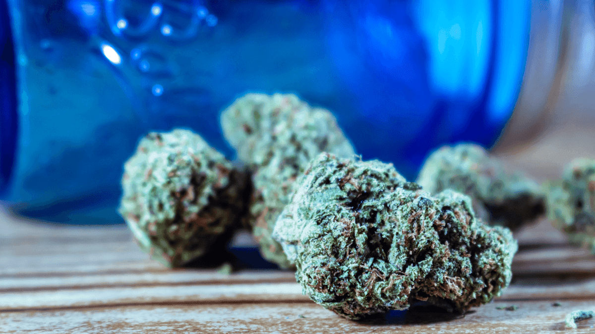 Por que o congelamento está revolucionando o modo de preservar o cannabis