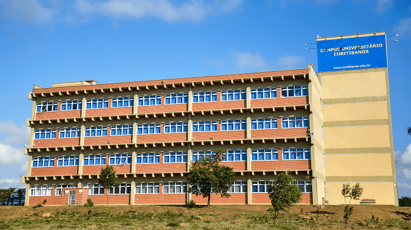 Cultivo de cannabis é liberado na UFSC