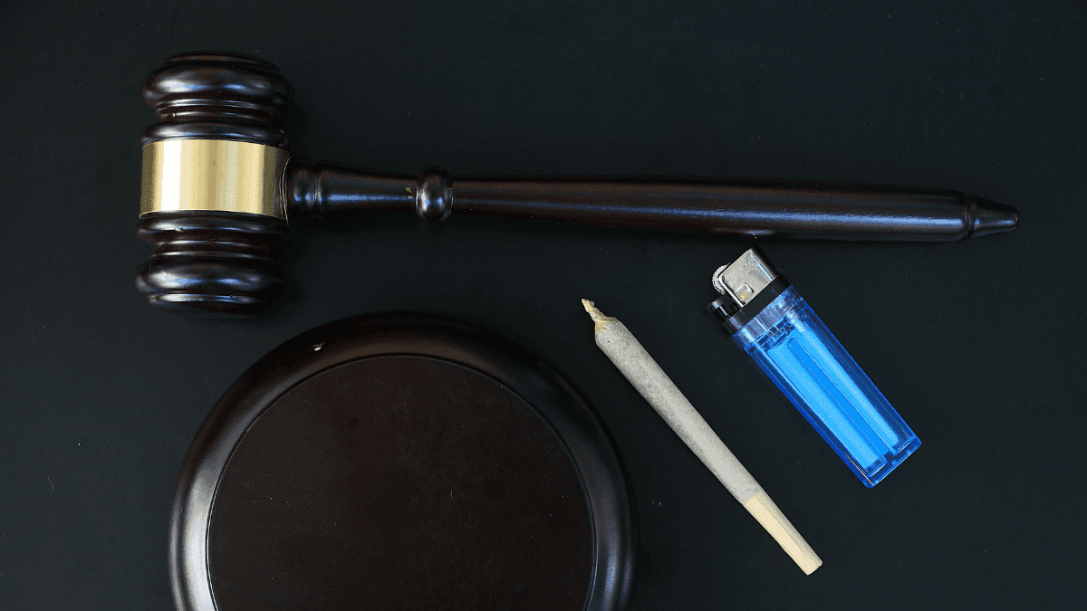 Direito canábico: muito além do Habeas Corpus para cultivo