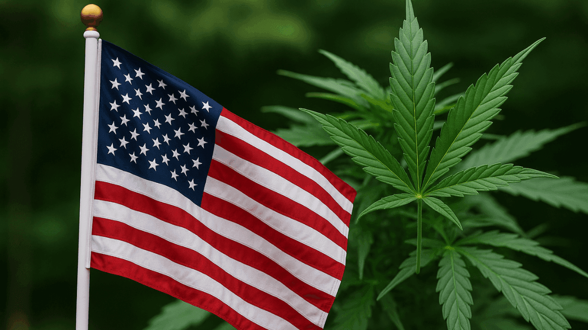 Nos EUA, trabalhadores de cannabis podem ganhar proteção legal