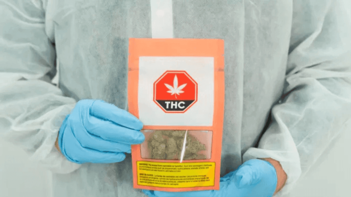  Embalagens transparentes transformam a experiência de compra da cannabis no Canadá