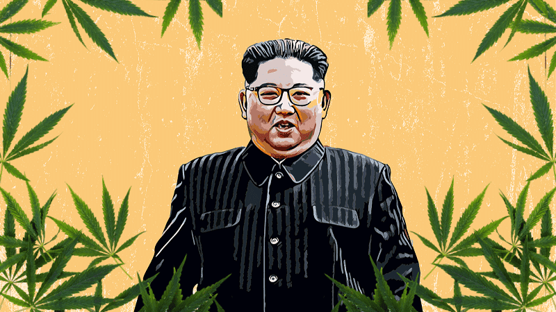 Existe maconha legal na Coreia do Norte?