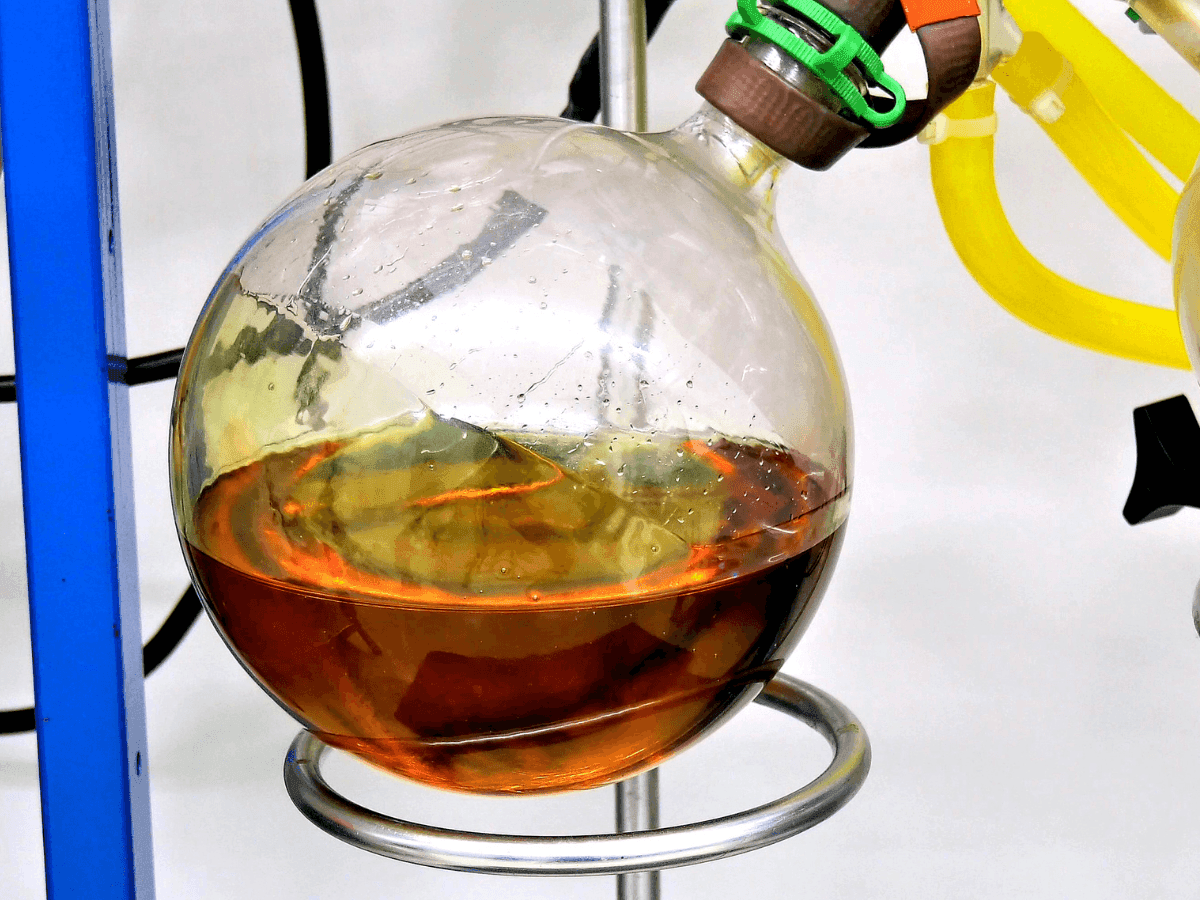 Canabinoides, laboratório, cannabis medicinal  Canva PRO