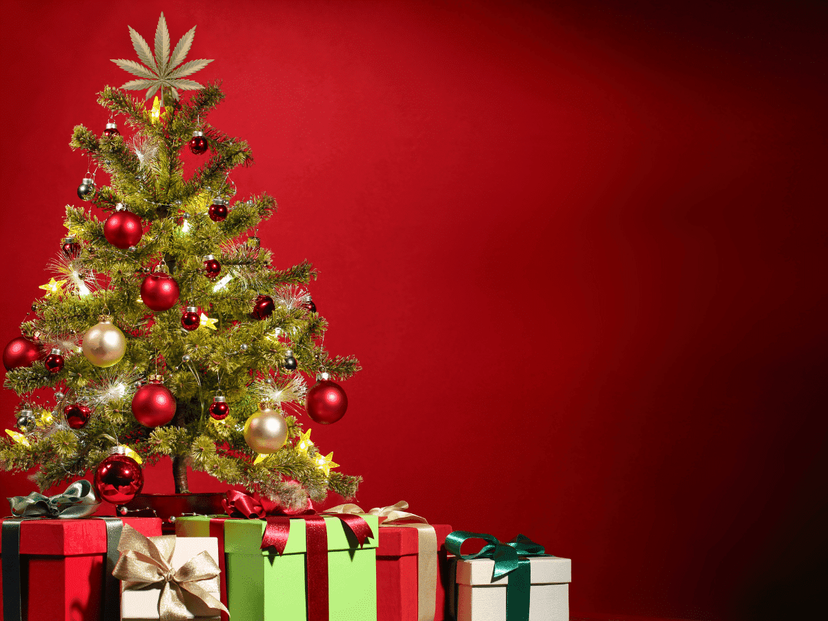 Feliz natal e boas festas
