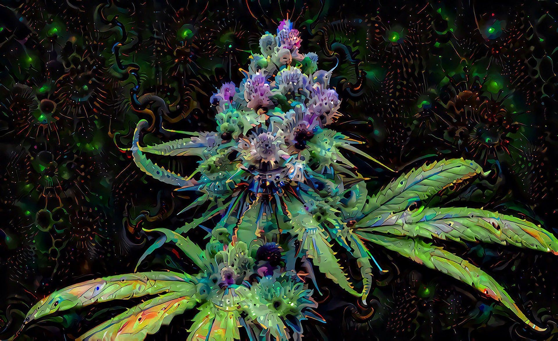Flavonoides na cannabis 