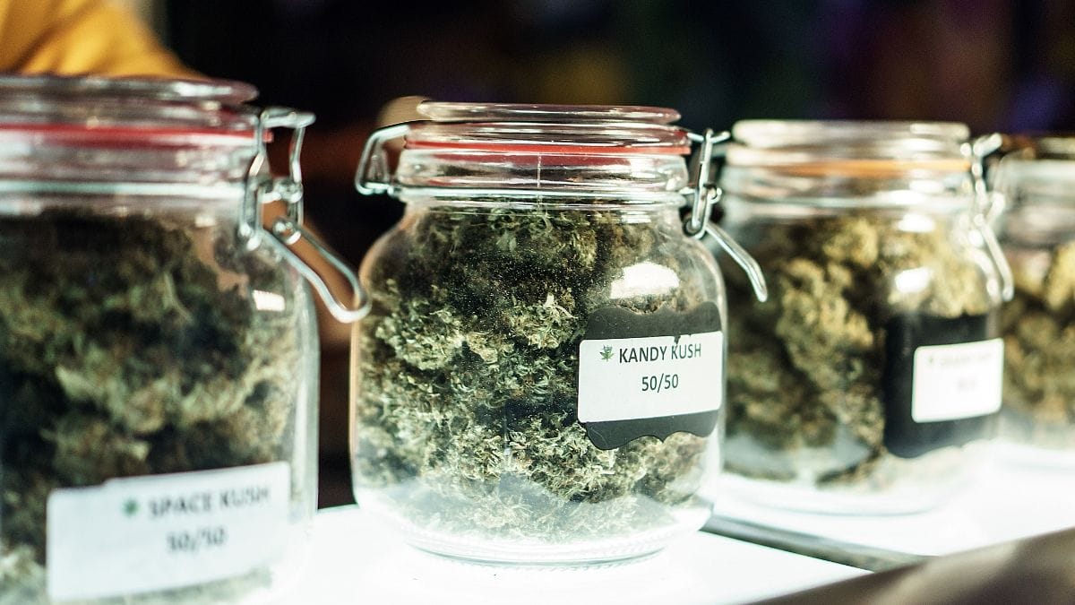 Mercado de cannabis: O contraste entre o 'boom' de NY e as headshops no Brasil