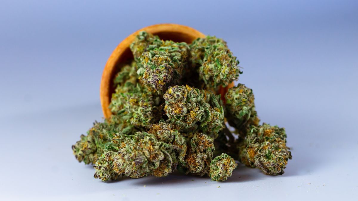 Village Farms conclui privatização e direciona novo caminho no mercado de cannabis