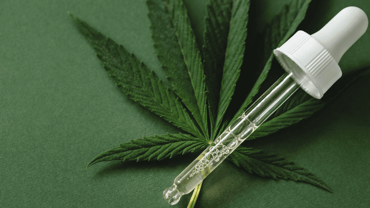Ribeirão Pires recebe R$ 300 mil para distribuição de medicamentos à base de cannabis no SUS