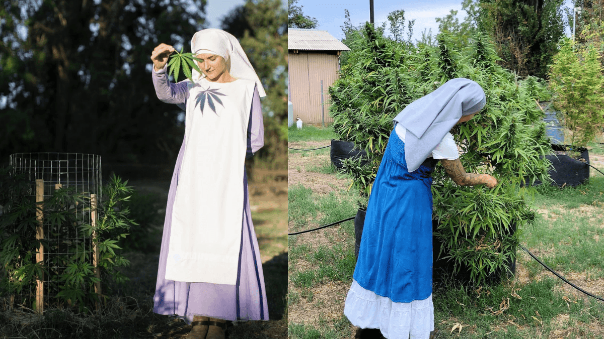 Sisters of the Valley desembarcam no país com foco em cannabis medicinal | Foto: Reprodução IG