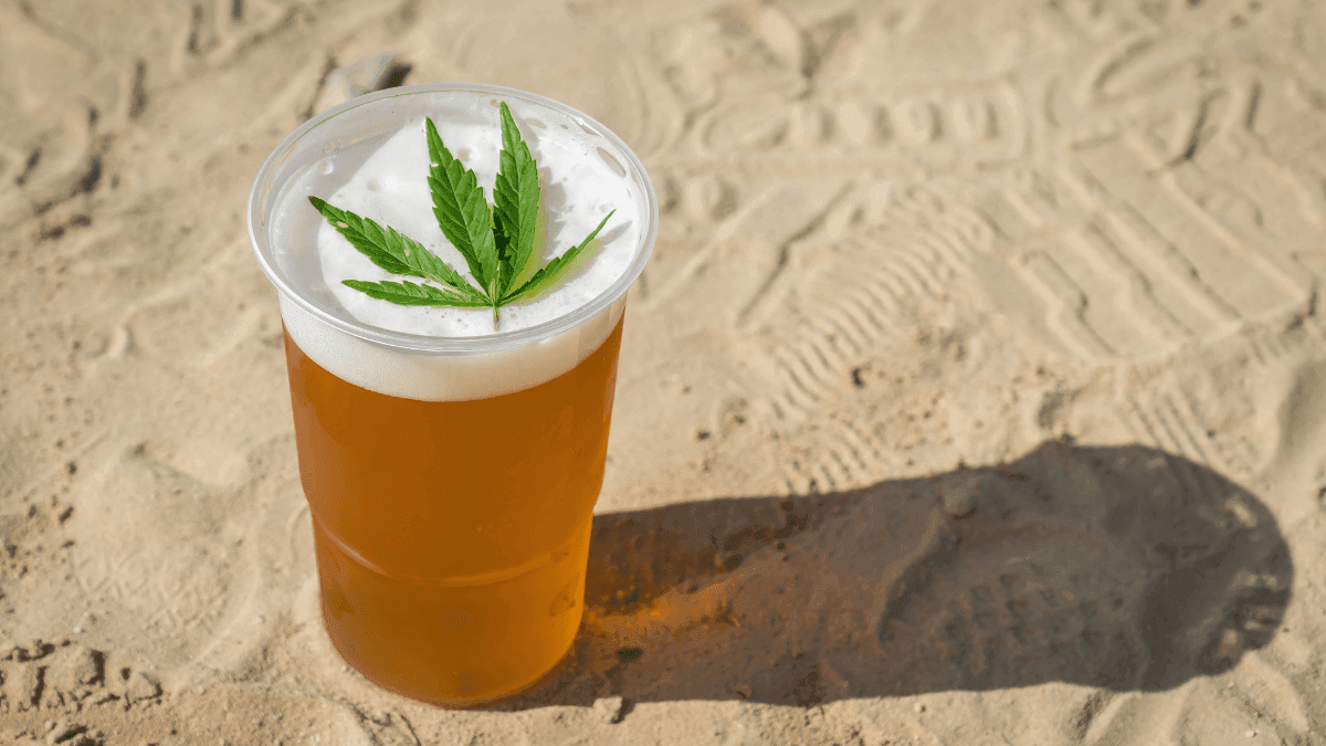 Canopy Growth, líder mundial em cannabis, lança novos sabores de bebidas e amplia portfólio