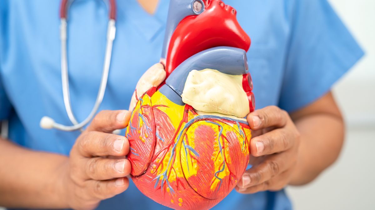 Cannabis e riscos cardiovasculares: nova pesquisa alerta para efeitos adversos