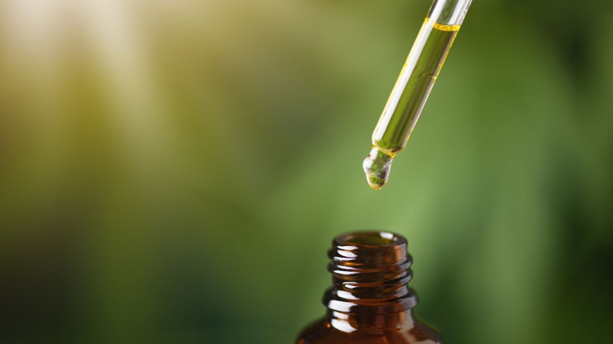 Mercado de canabinol deve atingir US$ 17,24 bilhões até 2030 com avanços tecnológicos e maior aceitação dos consumidores