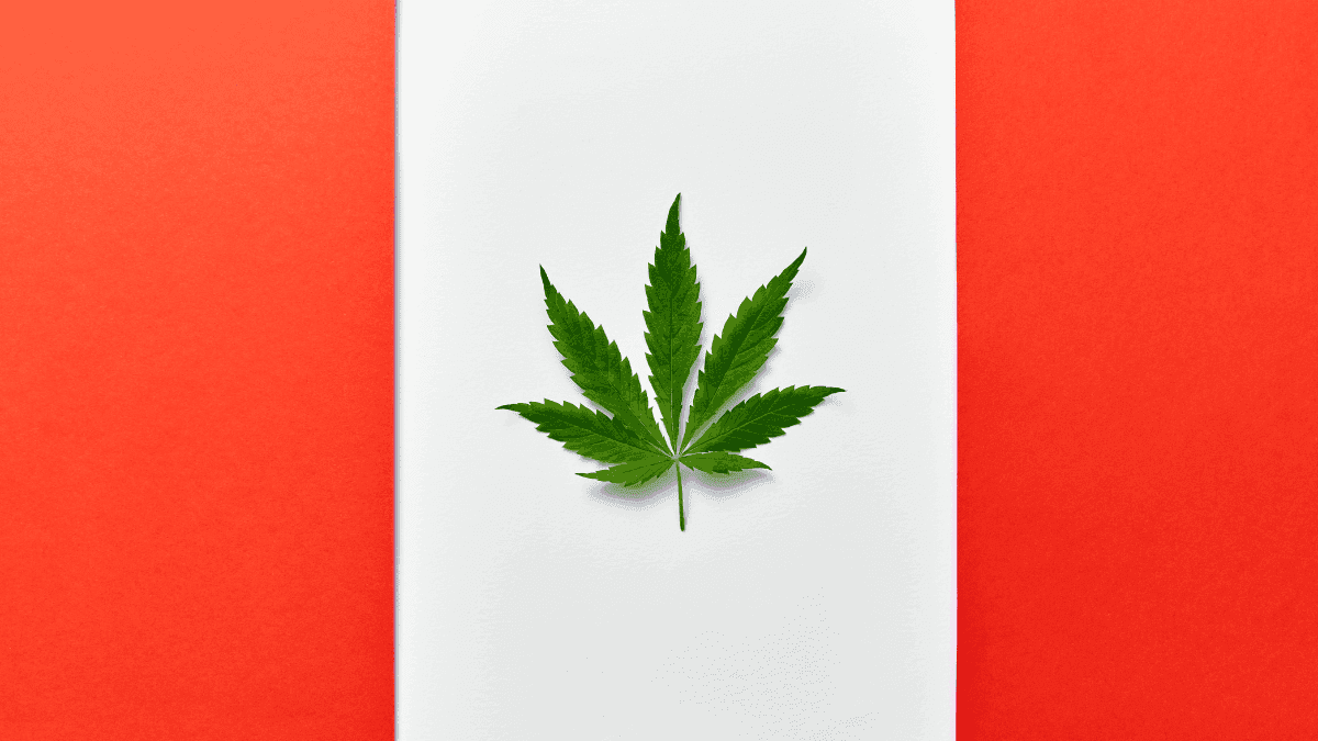 Canadenses consideram a legalização da cannabis como a maior conquista de Justin Trudeau