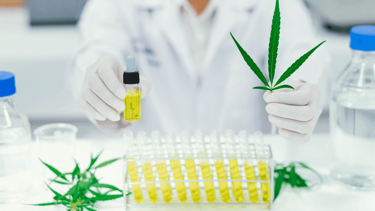 Com foco em eficiência e meio ambiente, Portugal investe em nova geração de extração de cannabis