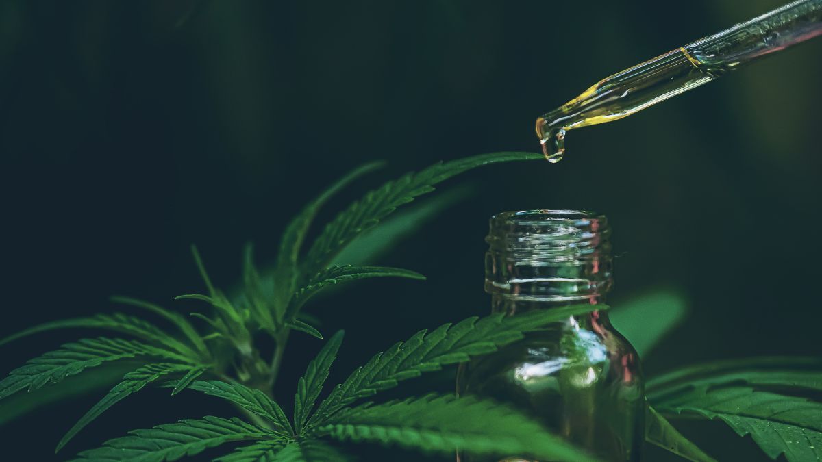 CBD e THC: diferenças, usos terapêuticos e panorama legal no Brasil