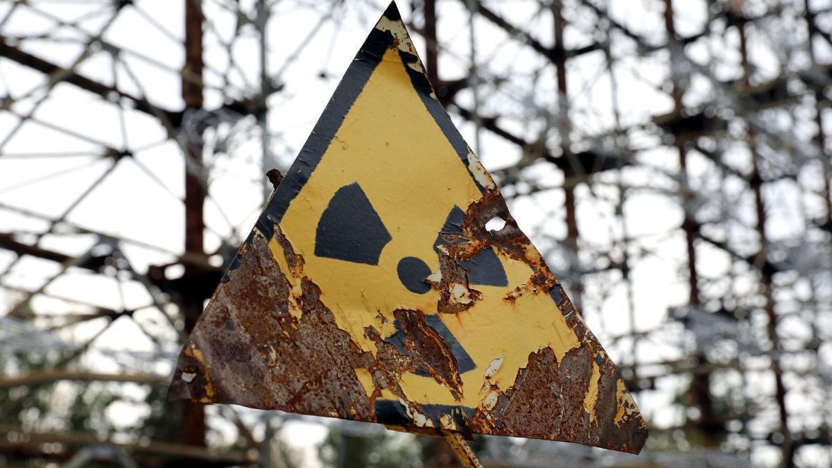 Cães resistentes de Chernobyl e o papel do cânhamo na descontaminação do solo