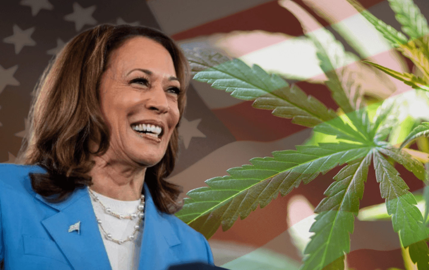 Kamala Harris, legalização da maconha, Estados Unidos, candidata a presidência da república