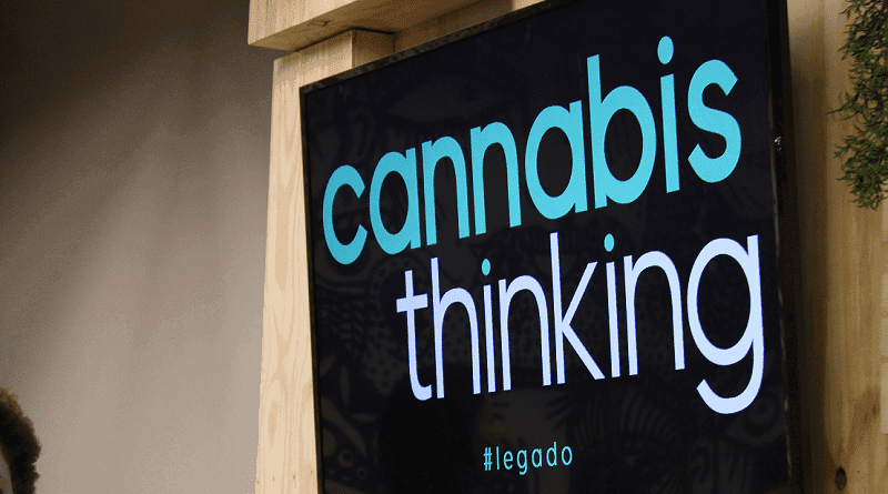 Legislativo vai ao cannabis thinking