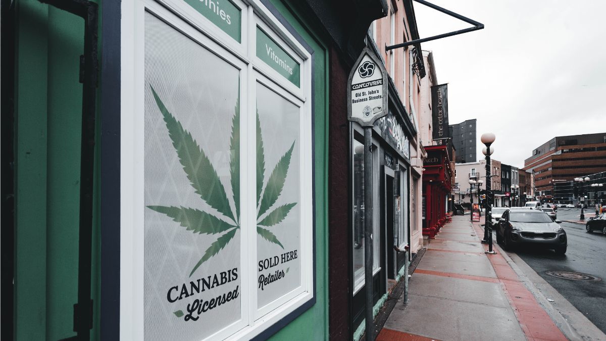 Pré-enrolados com infusão impulsionam o de cannabis na Califórnia