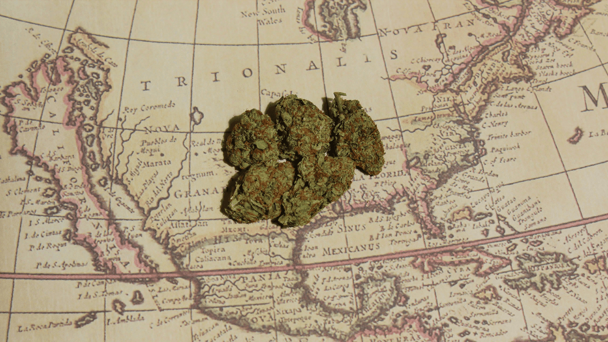  O contexto histórico da proibição da maconha no Brasil: ecos de um passado que ainda respira