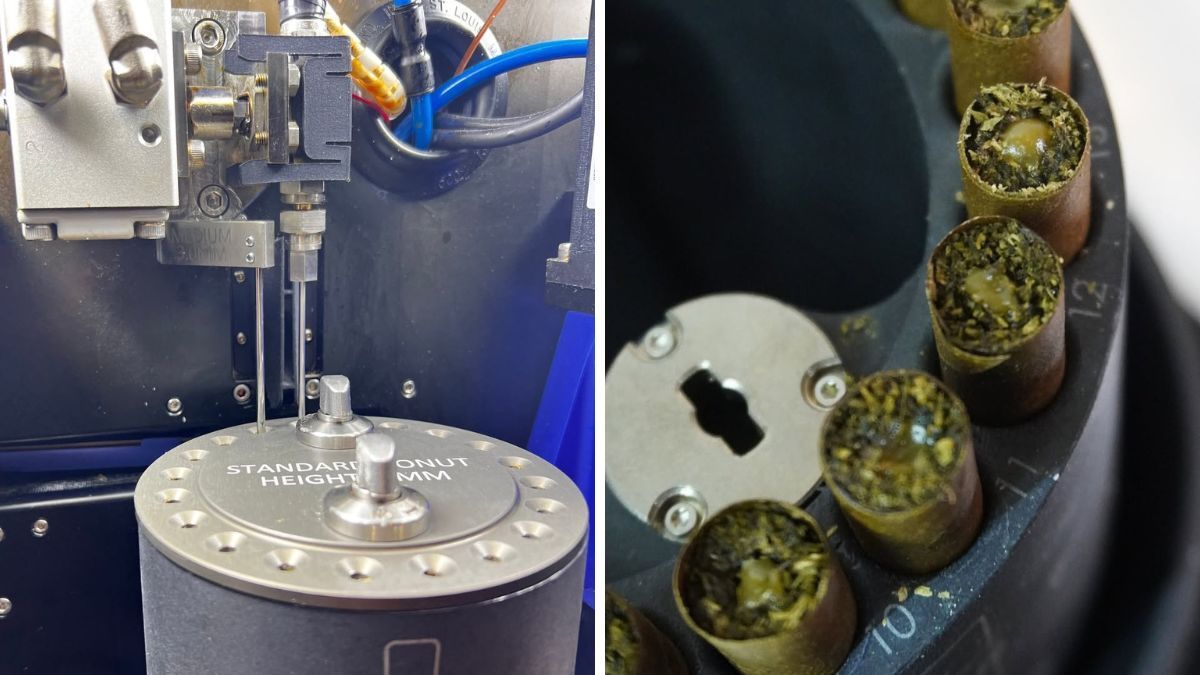 De Marte à cannabis: ex-engenheiro da NASA cria robôs para cannabis