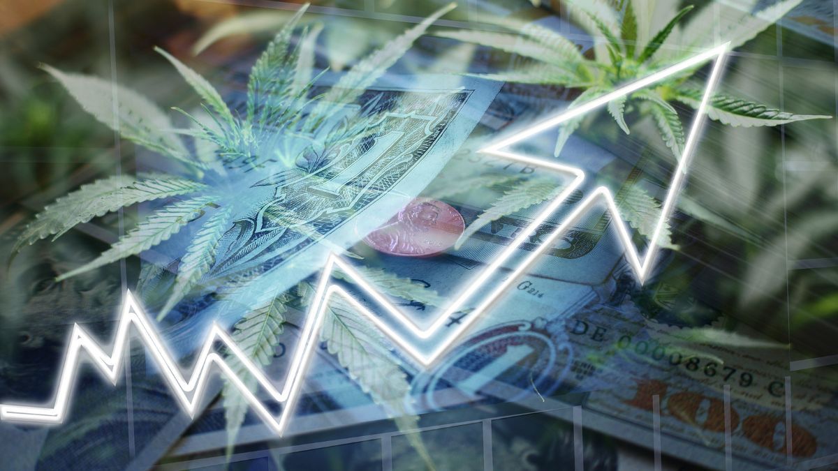 Ações de cannabis mostram sinais de recuperação após quedas em 2025