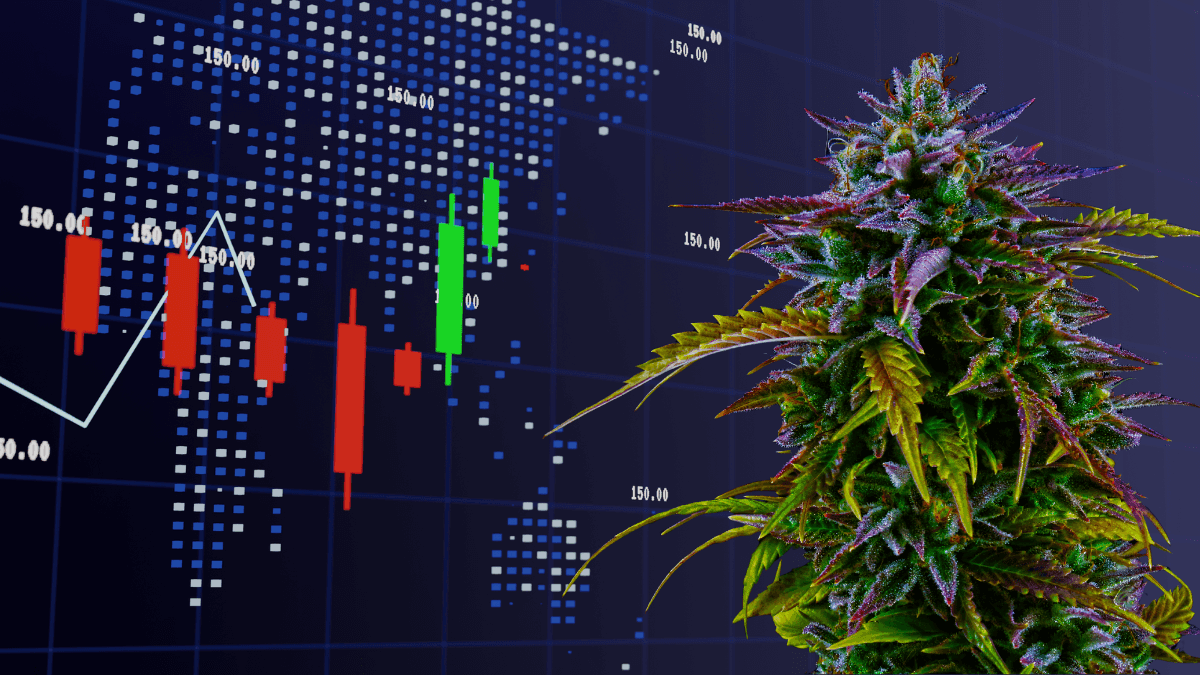 Oportunidades em alta: ações de cannabis para ficar de olho