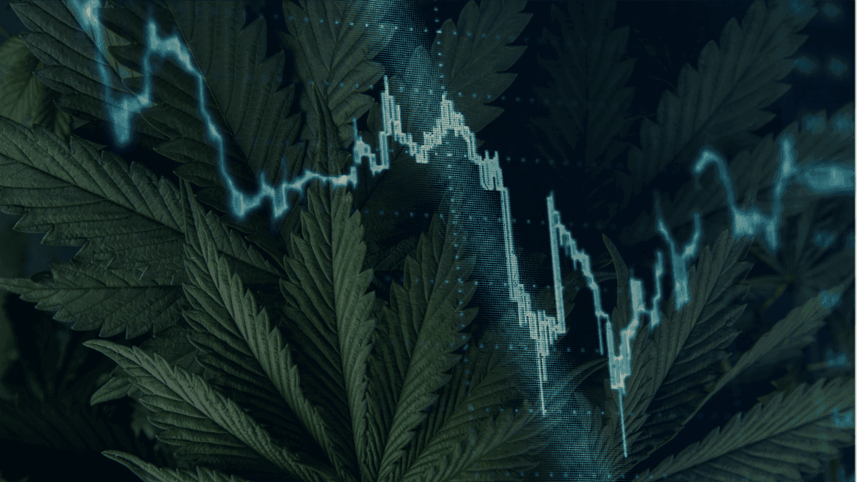 Empresa de softwares específicos para o setor de cannabis recebe oferta para fechamento de capital com proposta de valorização das ações