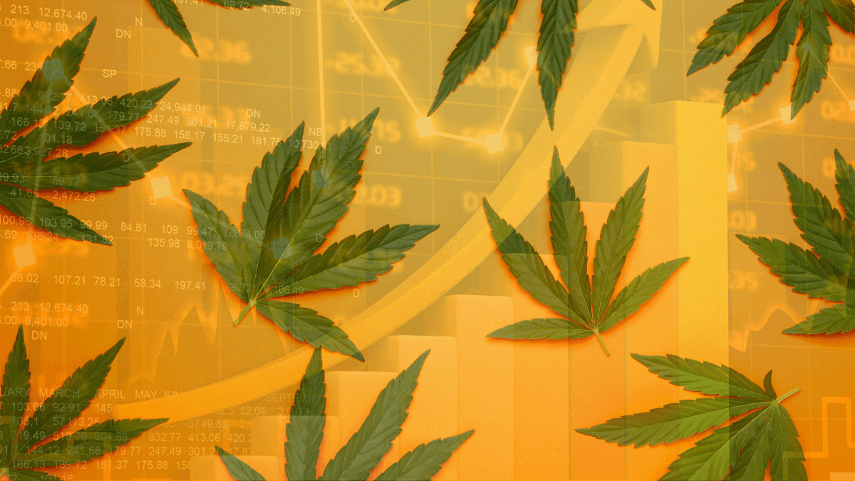 Mercado de cannabis medicinal no Brasil tem projeção de R$ 1 Bilhão até final de 2025